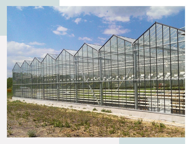 Строительство теплиц в Ноябрьск от 608 руб. за м²