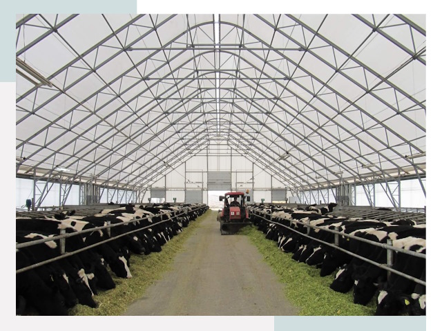 Тентовые коровники в Ноябрьске от 608 руб. - Надежно и доступно