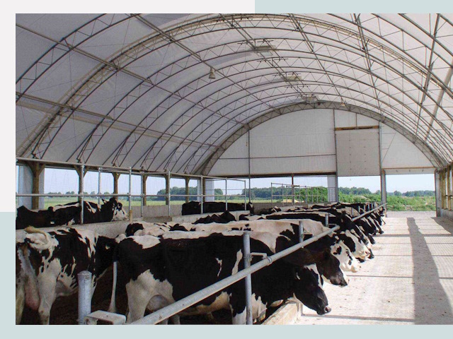 Тентовые коровники в Ноябрьске